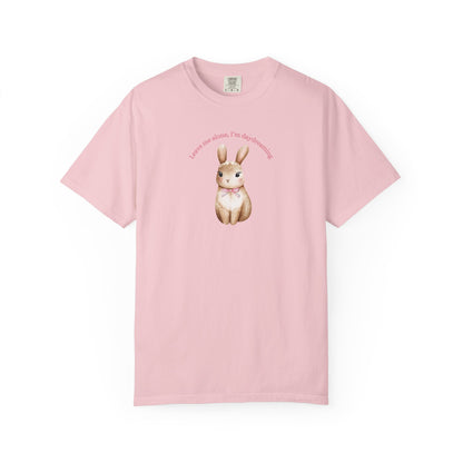 Coquette Bunny Bow T-shirt